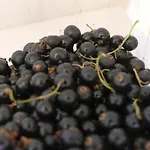 Farma Natur-aktiv-hof Thiem *