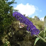 ファームステイ Natur-aktiv-hof Thiem *