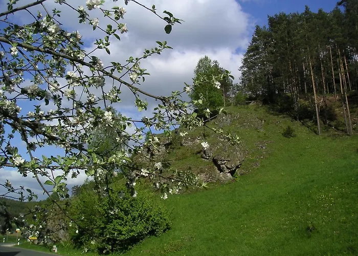 Natur-aktiv-hof Thiem Pottenstein