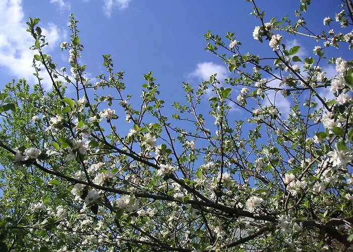 Natur-aktiv-hof Thiem Pottenstein