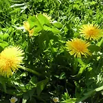 בית חווה Natur-aktiv-hof Thiem פוטנשטיין