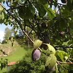 Farmház Natur-aktiv-hof Thiem Pottenstein