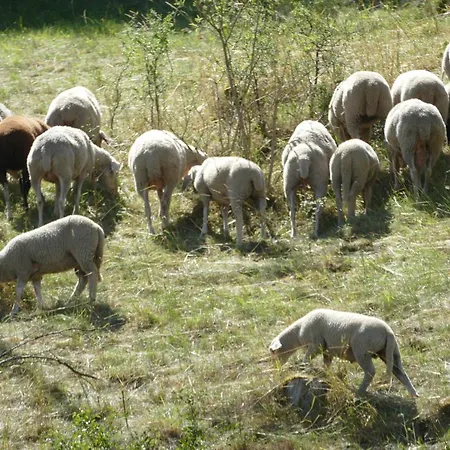 Natur-aktiv-hof Thiem Bauernhof Pottenstein