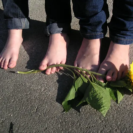 בית חווה Natur-aktiv-hof Thiem