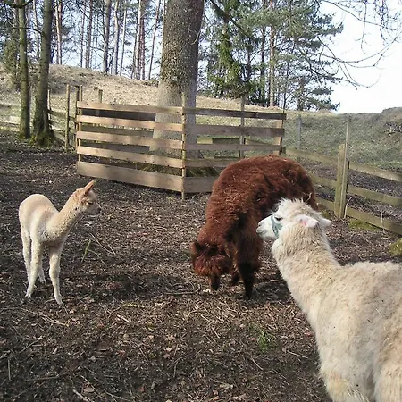 Farm stay Natur-aktiv-hof Thiem *