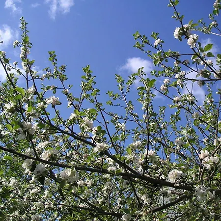 Natur-aktiv-hof Thiem Pottenstein