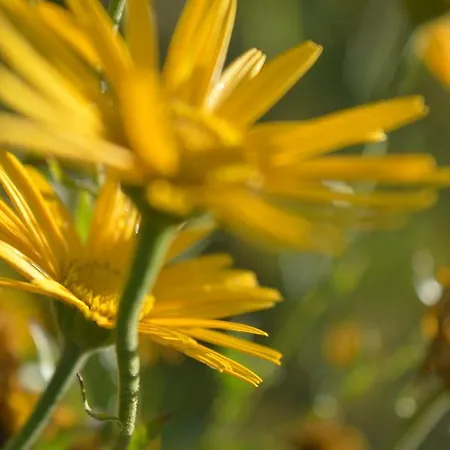 Natur-aktiv-hof Thiem