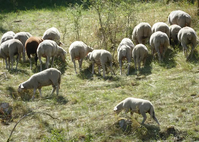 Natur-aktiv-hof Thiem مزرعة للإقامة بوتينشتاين