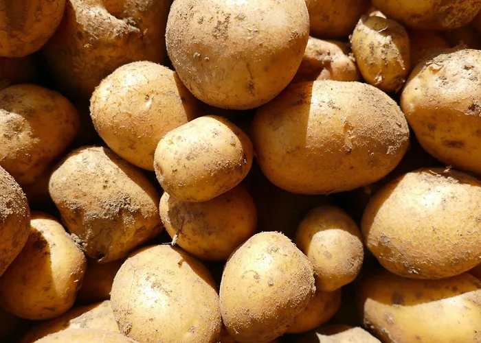 Natur-aktiv-hof Thiem مزرعة للإقامة *