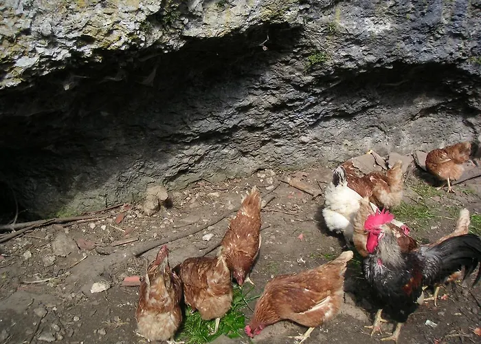 مزرعة للإقامة Natur-aktiv-hof Thiem