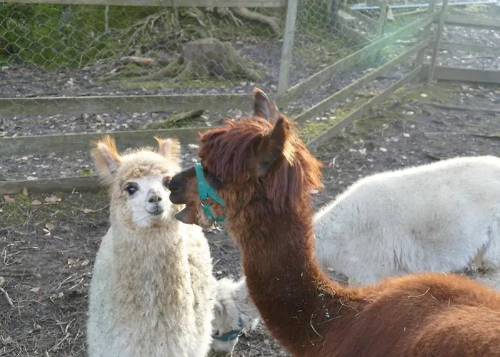 בית חווה Natur-aktiv-hof Thiem