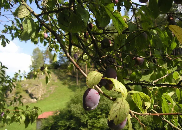 Фермерский дом Natur-aktiv-hof Thiem Поттенштайн